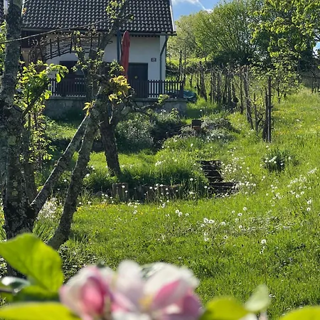 Vikendica Na Kucarju Ob Kolpi Podzemelj